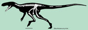 Staurikosaurus skeletal