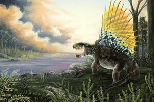 Dimetrodon-grandis franz-anthony