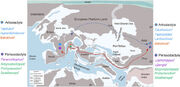 Middle Eocene Paleogeography Tethys Dispersals