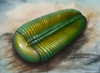 Ивовиция.jpg (458 КБ) Ивовиция