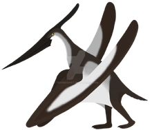 0u7b30362e-2902ef34-196ff2f2.png