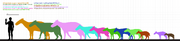 Palaeotherium size comparison