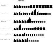 Schematic-chart-showing-the-variation-of-dentary-dentition-in-Araripesuchus-and