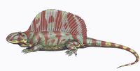 Dimetrodon natalis