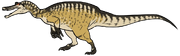 Camarillasaurus12