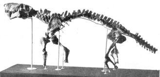Inostrancevia