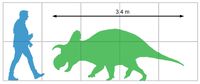 1920px-Crittendenceratops size