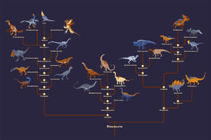 Dinosaurus classification