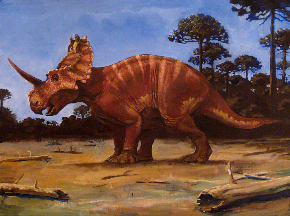 Про трицератопса. Центрозавр динозавр. Трицератопс цератопсиды. Травоядные динозавры Трицератопс. Стиракозавр палеоарт.