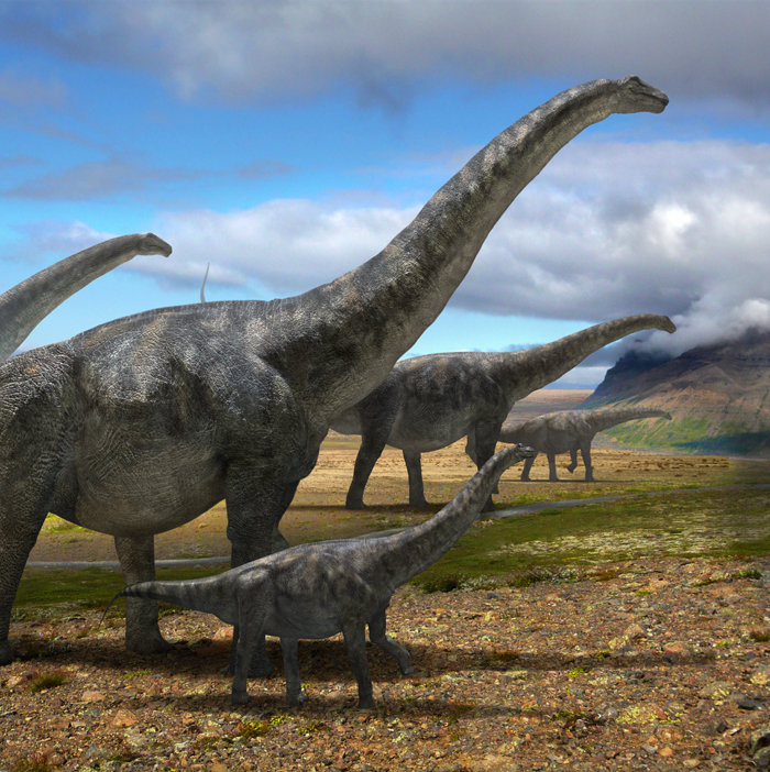 Где большой динозавр. Диплодок Аргентинозавр. Зауропод и Диплодок. Зауропод амфицелия. Титанозавр зауропод.