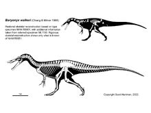 Baryonyx