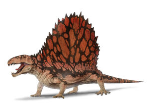 Dimetrodon (2)