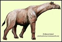 Ecbb903e7d92.jpg (57 Кб) Ecbb903e7d92