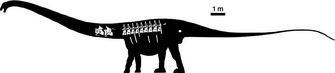 Dinheirosaurus-lourinhanensis-silhouette-containing-skeletal-reconstruction-based-on-ML