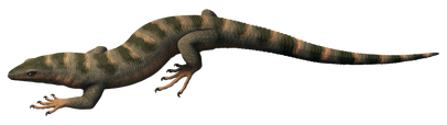 0u370294f6-1db9c64f-60a6f72e.png