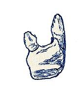 170px-Azendohsaurus laaroussii.jpg