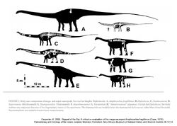 Amphicoelias vs gigant