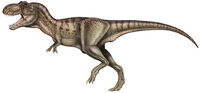 Tarbosaurus1