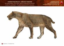Homotherium-339e07fb-4330-4992-9e40-0d38f6d6494-resize-750.jpg