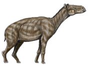 Paleotherium magnum