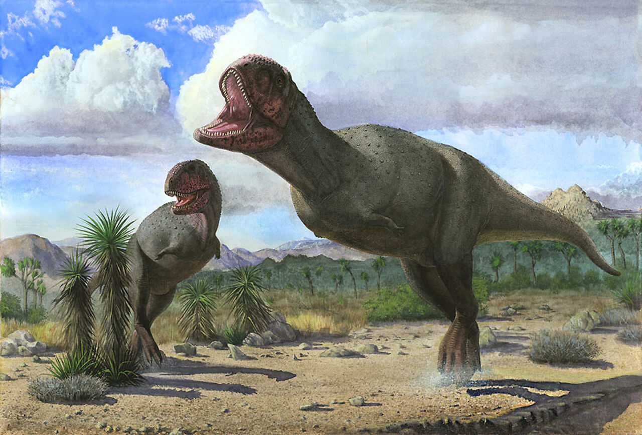 Тираннозавр Атучин