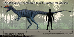 Dilophosaurus-size