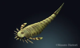 Хьюджмиллерия3