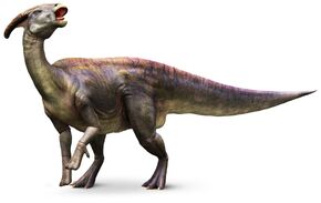 Parasaurolophus