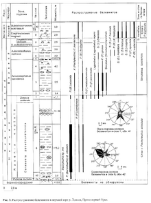 Белемниты Сибири стратиграфия