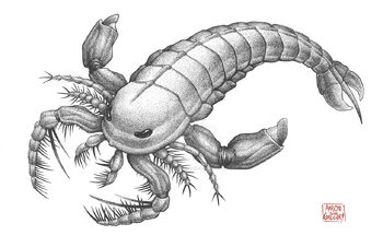 Megalograptus eurypterid by aaronjohngregory-d9l65f1