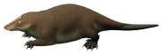 Haldanodon