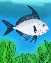 Veronavelifer sorbinii by avancna d4iv0bf-414w-2x