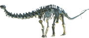 Apatosaurus Clean