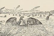 Стеллерова корова10