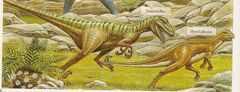 Deinonychus poursuivant un Hypsilophodon