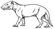 S37124193