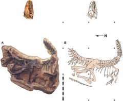 Quarry map of DINO 11541