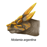Meiolaniidae