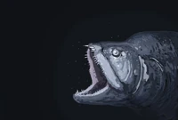 EucIGI0WgAobwbI.jpg (126 КБ) Автор: Джошуа Кнуппе