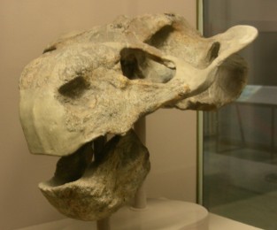 S92363679