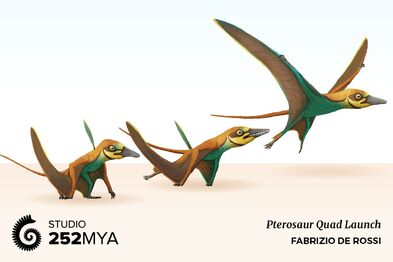 1Arcticodactylus