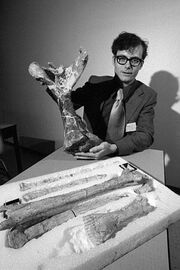 Dr. Douglas Lawson holds the humerus of the giant pterosaur Quetzalcoatlus northropi.