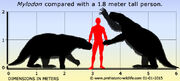 Mylodon-size.jpg