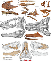 Lythronax.png