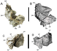 Fig-7-1x