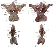 Peerj-05-3409-g006