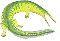 Prionosuchus by Suchomimus62.jpg (208 КБ)