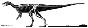 Bagualosaurus agudoensis