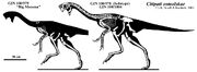 Citipati osmolskae skeleton.jpg