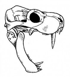 S48399271.jpg